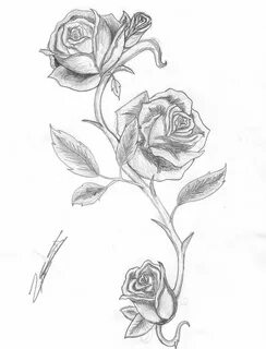 Rose With Thorns Tattoo Drawing