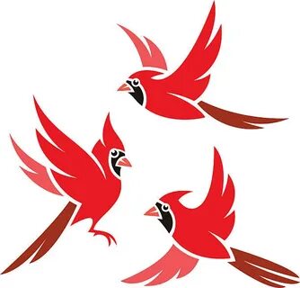 Northern Cardinal Vector Art, Icons, and Graphics for Free D