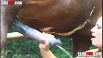 Horse cums on girls mouth after the young teen throats the h