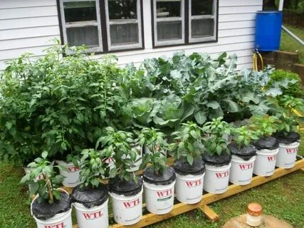5 Gallon Bucket Garden Stand Dimensions - Womanobsession