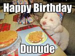 Happy-birthday-dog-meme-4 - Top Product Reviews & Comparison
