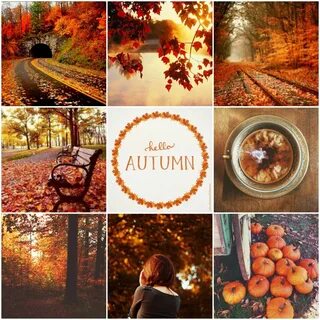 kiiwyyo: "Autumn Magic. " Autumn magic, Hello autumn, Cute f