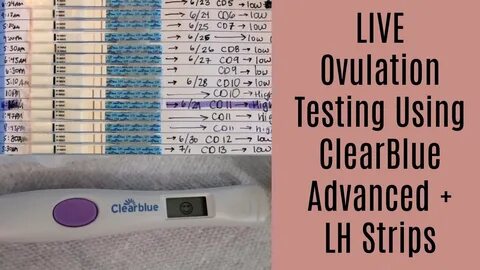 Easy At Home Pregnancy Test Line Progression