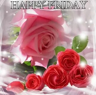 Rosy Happy Friday Pictures, Photos, and Images for Facebook,