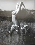 Anita Ekberg Nude Sunflower Celebs :: diluceinluce.eu