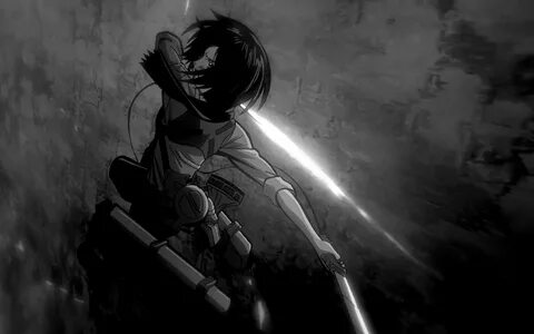 Anime Attack On Titan Mikasa Ackerman Attack on Titan Shinge