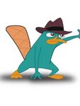 Free download Perry The Platypus Schnabeltier Hd Wallpaper O