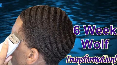 360 Waves End Of 6 Week Wolf Haircut Transformation ! (Gone 