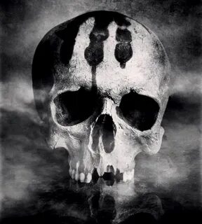 Pin by andrea polonara on Skull art Skull reference, Skull a