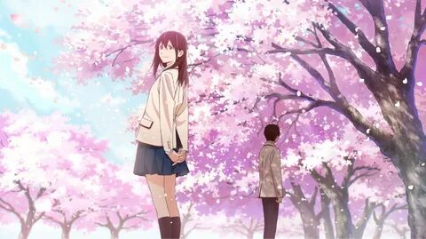 Anime I Want To Eat Your Pancreas Sakura HD Wallpapers - Wal