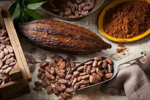 Какао-бобы: польза и вред для здоровья
