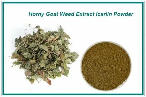 China Top Quality Horny Goat Weed Extract, Icariin 5% of Epi