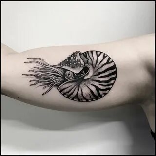 Alcie Totemica Nautilus tattoo, Shell tattoos, Body art tatt