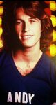 Pin by Sheri Horn on Andy Gibb Andy gibb, Barry gibb, Andy