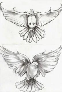 Dove tattoo design, Dove tattoo, Dove drawing