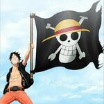 One Piece Going Merry Flag Straw Hat Skull Pirate Logo Monke