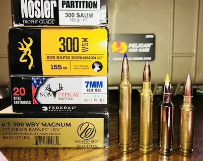 6.5-300 Wby, 7mm Rem Mag, 300 WSM, & 300 SAUM Rem, Mule deer