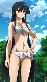 Akame Ga Kill Killer Bikini Anime - Sankaku Complex
