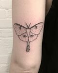 Moth Tattoo Simple - TATTOO LAYOUT PROJECTS
