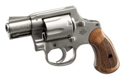 Champion Firearms Armscor M206 Spurless 2" Matte Nickel .38S