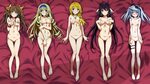 Infinite Stratos IS stripped Photoshop and erotic images par