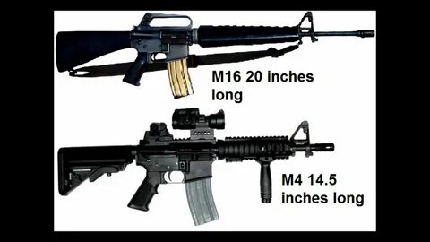 The M16 vs The M4A1 Carbine - YouTube