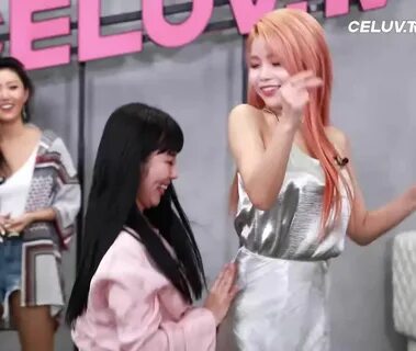 Mamamoo - Wheein & Solar feeling up each other. r/kpopfap. 