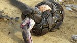 King Cobra and Reticulated Python Kill Each Other, End Up in