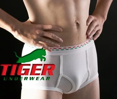 AJF.boys tiger underwear Off 54% www.rajhans.digital