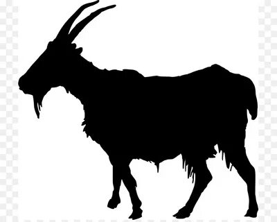 Goat Cartoon png download - 781*713 - Free Transparent Boer 