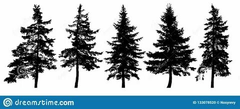 Forest Trees Silhouette. Isolated Vector Set. Stock Vector -