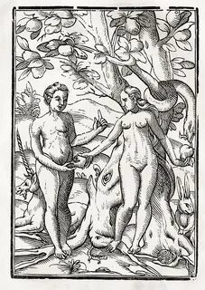 Adam And Eve In The Garden Of Eden From Drawing by Vintage D