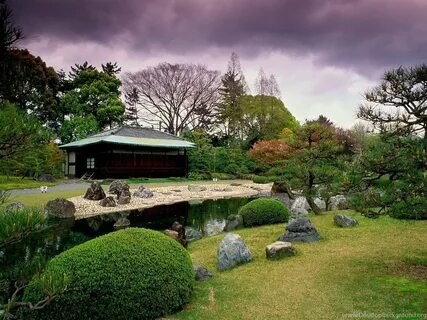 Японский сад (65 фото) .
