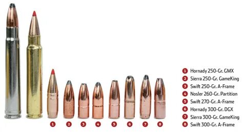 375 Ruger Vs 375 H H Guns And Ammo