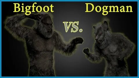 BIGFOOT vs DOGMAN Epic Encounter Dogman Narratives - YouTube