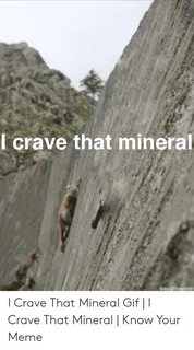 🐣 25+ Best Memes About He Craves That Mineral Meme He Craves