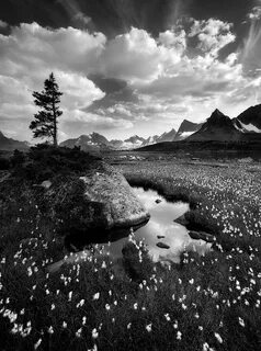 Black & White Nature Photography Portfolio #1: Grand Landsca