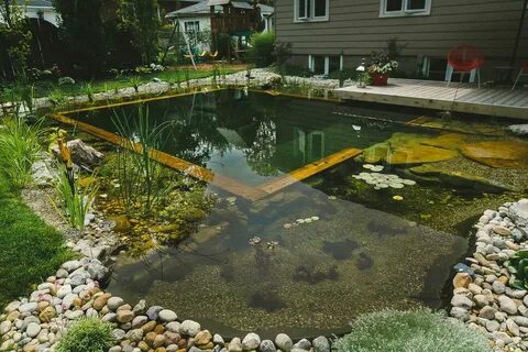 9 Common Mistakes Related to Natural Swimming Pool - BLACK-B