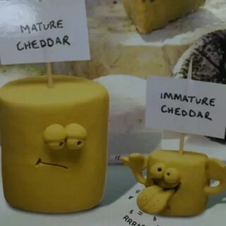 Pin by Lisa Gressing on Things I liked Cheesy jokes, Cheese 