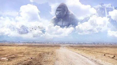 Harambe in Heaven - Imgur