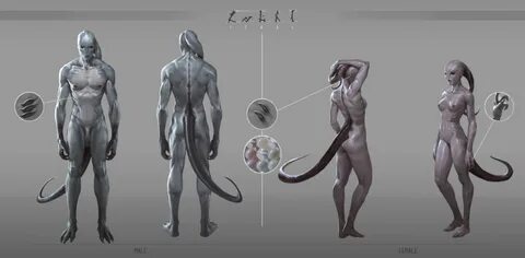 Iz'kal - Anatomy Art by Zabi Hassan Concept art characters, 