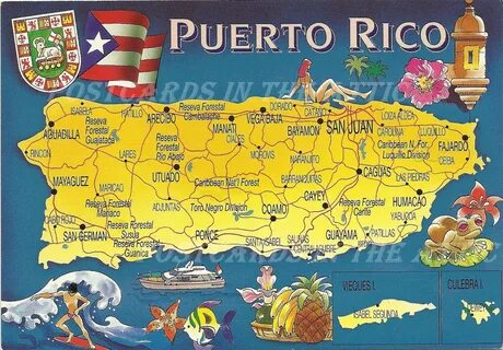 mapa de puerto rico con los municipios 3D - Google Search Pu