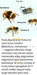 Funny wasp Memes