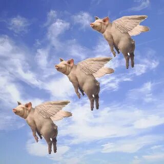 Flying Pigs - Lessons - Blendspace