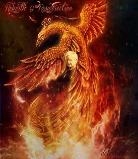 phoenix - Google-haku Dragon drawing, Gothic fantasy art, Dr
