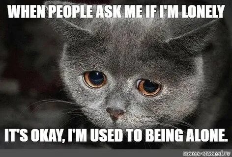 Lonely Cat Meme - Quotes Trendy New