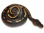 Mahogany Black Pastel - Morph List - World of Ball Pythons B
