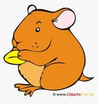 Hamster Clipart, Bild, Cartoon Kostenlos - Hamster Clipart, 
