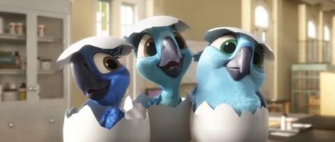 Is that image from the movie Rio 2? Fandom