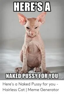 HERE'SA NAKED PUSSY FOR YOU Sens Rnet Here's a Naked Pussy f